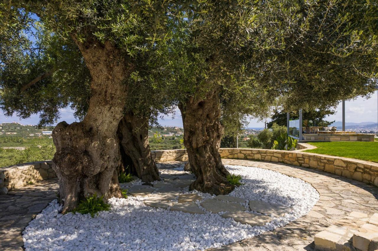 Olivenest Chania Executive Villa Perivólia Eksteriør billede